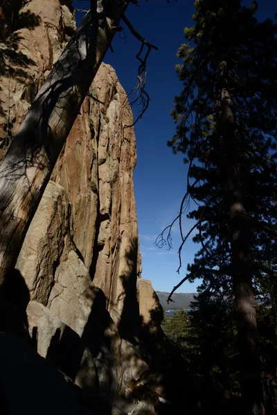 DSC_5167 (Large).JPG